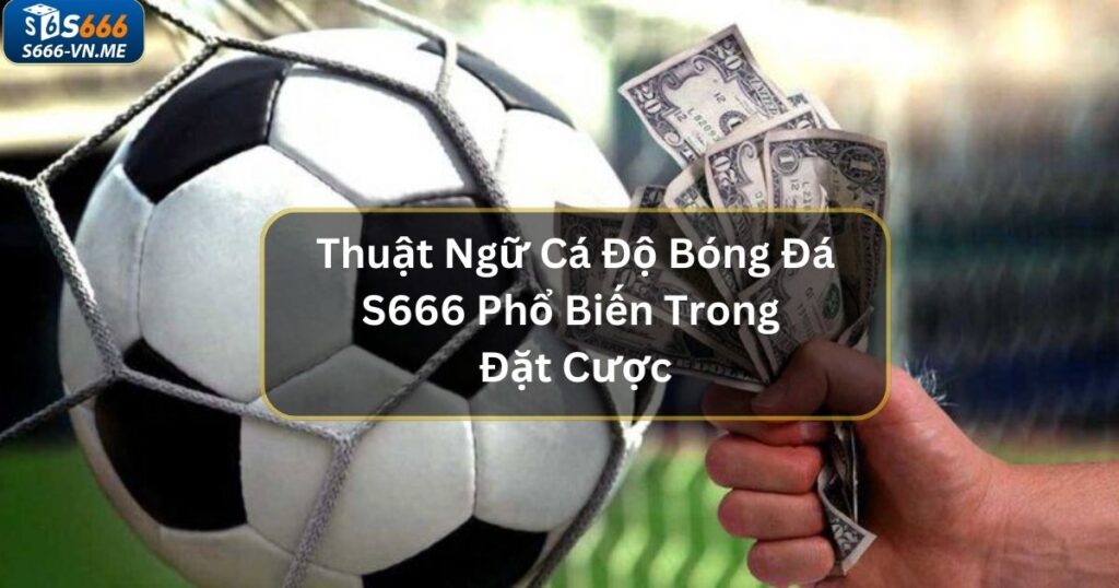 Thuật Ngữ Cá Độ Bóng Đá S666 Phổ Biến Trong Đặt Cược